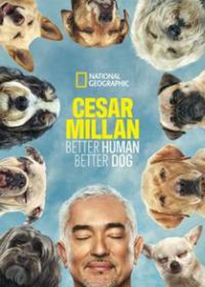 https://www.watchseries.tube/tv-series/cesar-millan-better-human-better-dog-season-4-episode-3/
